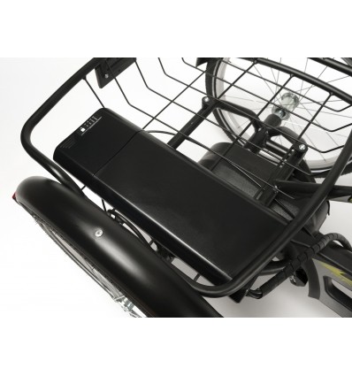 Tricycle Freedom pour adolescent 2217 avec assistance électrique