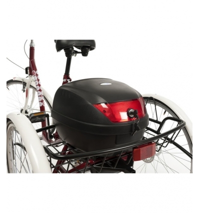 Top case pour tricycle 2217 et 2219