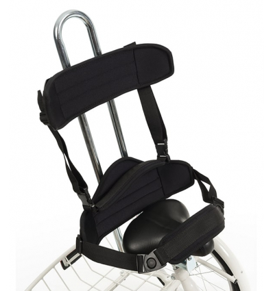 Support dorsal et cale hanche pour tricycle