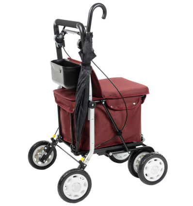 Déambulateur caddie Lett 900 porte parapluie