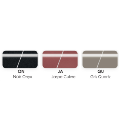 Coloris tricycle adulte handicapé Tonicross City Rupiani