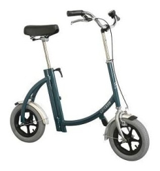 Draisienne adulte City Pous Van Raam bleu