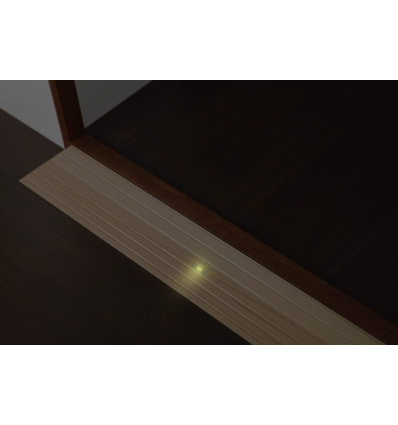Rampe de seuil avec éclairage LED Mobio Ramp