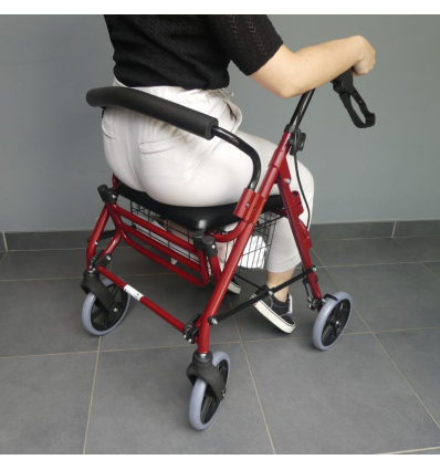 Déambulateur chaise roulante de transfert 2 en 1 Victor