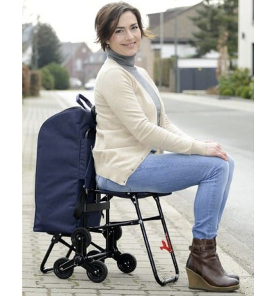 Chariot de courses 6 roues avec siège