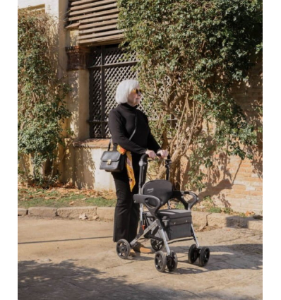 Déambulateur chariot de courses 4 roues à pousser avec siège Care Plus Playcare