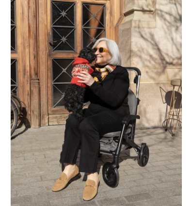 Déambulateur et chariot de courses 4 roues à pousser avec siège Care Lux