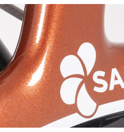 Déambulateur extérieur 4 roues pliable avec siège Carbone Saljol rouge