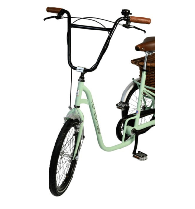 Tricycle adulte handicapé 3 roues avec panier Tonicross City Rupiani vert pastel