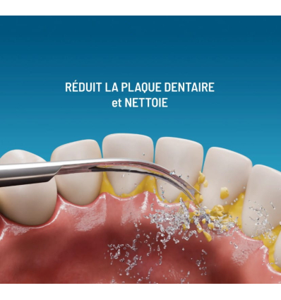 Brosse à dents électrique 3 en 1 détartrante avec jet dentaire Haepi Julia