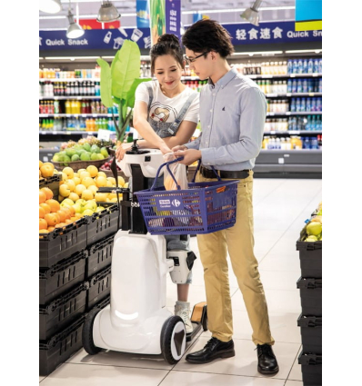 Fauteuil verticalisateur électrique Robooter XZ-Droid Smart