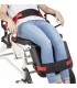 Ceinture Ventrale pour Fauteuil Phoenix