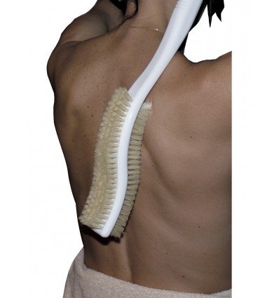 Brosse à dos ergonomique 