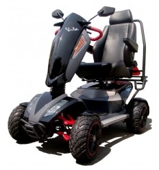 Scooter 4 roues homologué "route" Monster X 900-M4