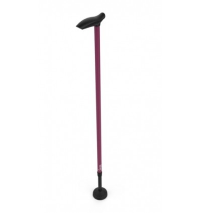 Canne de marche Tango Swing
