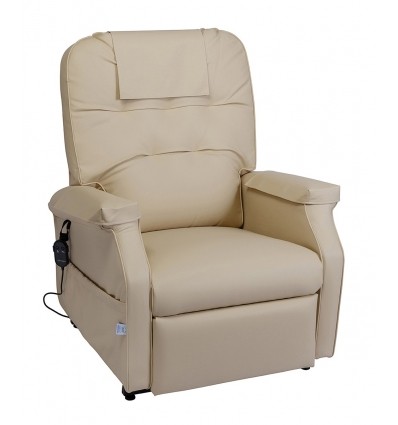 Fauteuil releveur 1 moteur Success