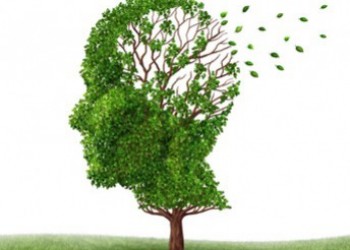Le gouvernement lance son nouveau plan Alzheimer